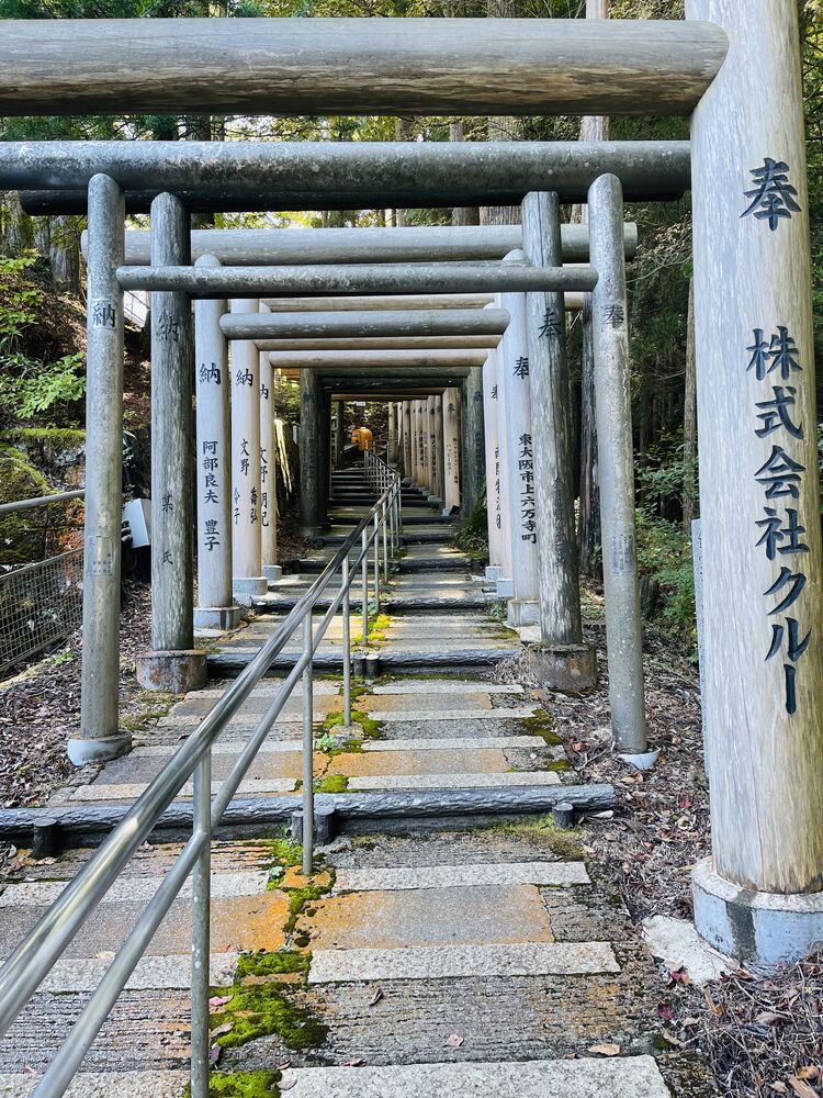 ブログ画像